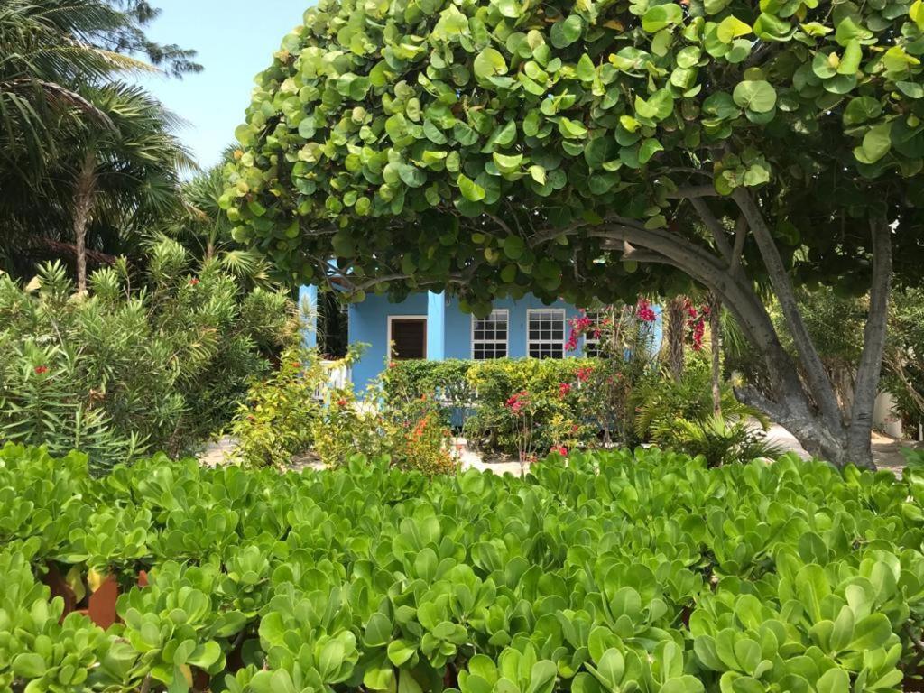 Sandy'S Secret Caye Caulker Extérieur photo